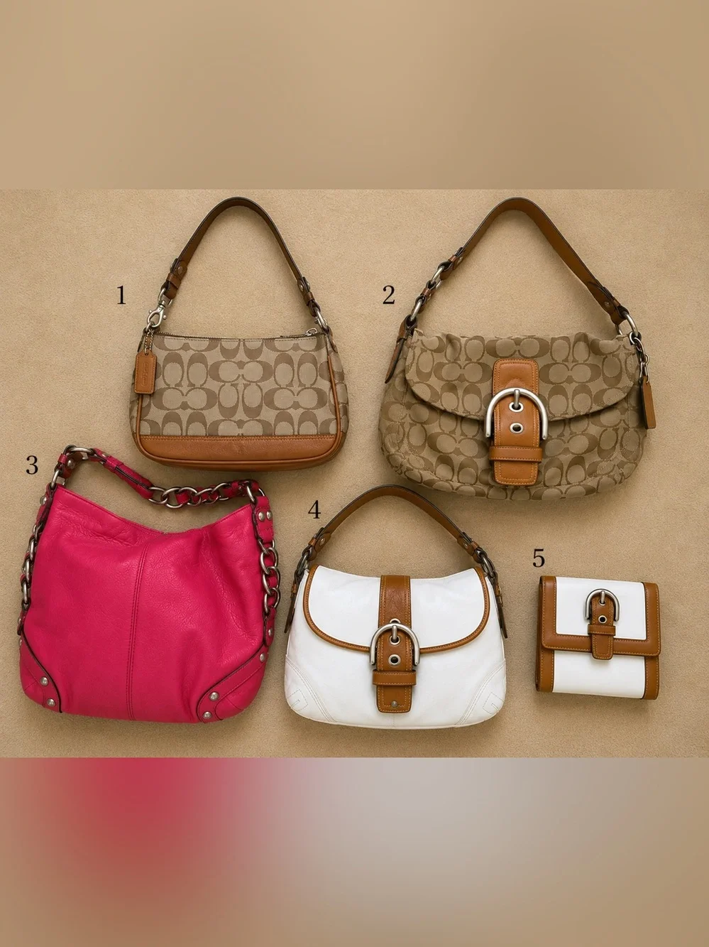 Coach bags Y2K